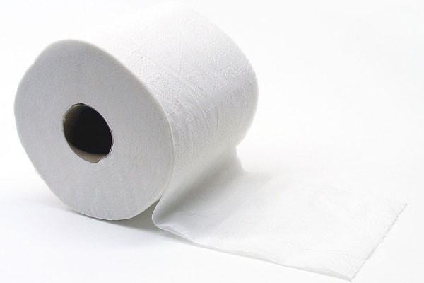 Toilettenpapier Kleinrolle Recycling Lagen 2 250Blatt